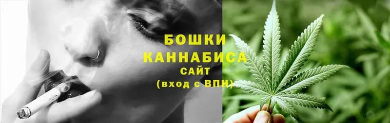 Канабис SATIVA & INDICA  купить закладку  Камбарка 